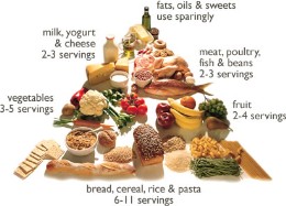 food pyramid